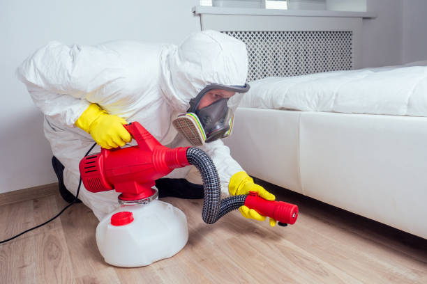 Best Pest Exclusion Services  in Pine Manor, FL